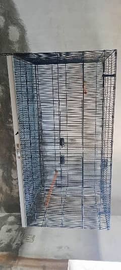 Birds Big size folding cage read add for details