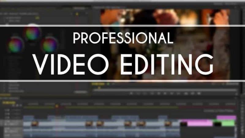 I Required a Professional Video Creator 0