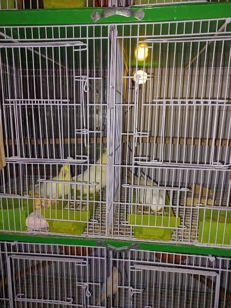 brand new eight portion cages very heavy wires 1