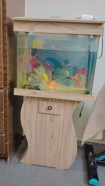 Aquarium with 2 gold fish 0