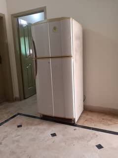 PEL Refrigerator ( Medium Size )