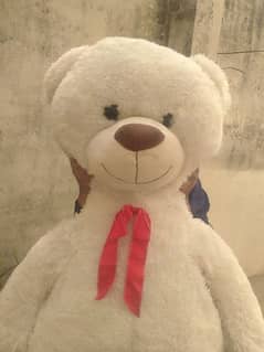 Teddy/