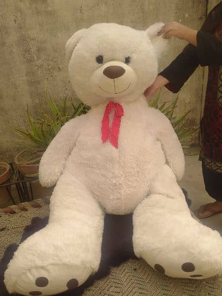 Teddy/ baby toy/ Teddy bear/ 3