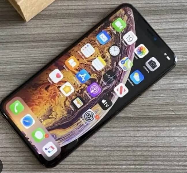 iPhone XS non pta  256 GB 10by 10 battery health 77% 2