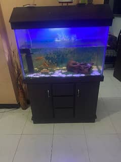 fish aquarium with 2 door capnet