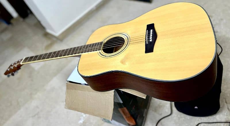 Semi Acoustic Professional Guitar 4