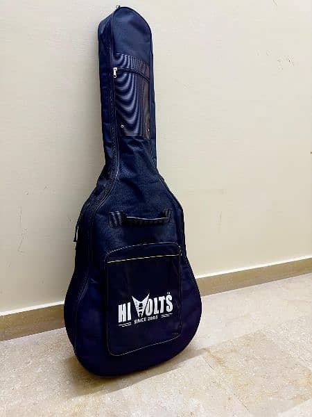 Semi Acoustic Professional Guitar 6
