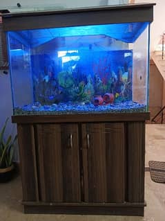 Fish Aquarium for sale