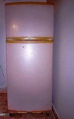 Singer Imported fridge in perfect working condition it's like New