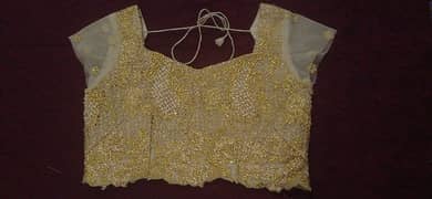 net saaree with fancy gold blouse