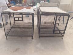 Cages for Sale [unused] Rs. 20,000 for each cage