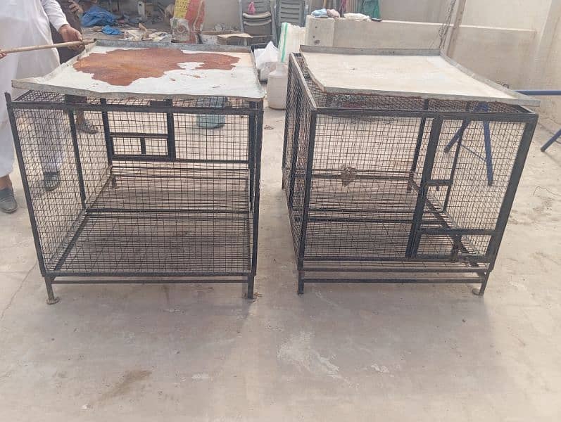 Cages for Sale [unused] Rs. 20,000 for each cage 0