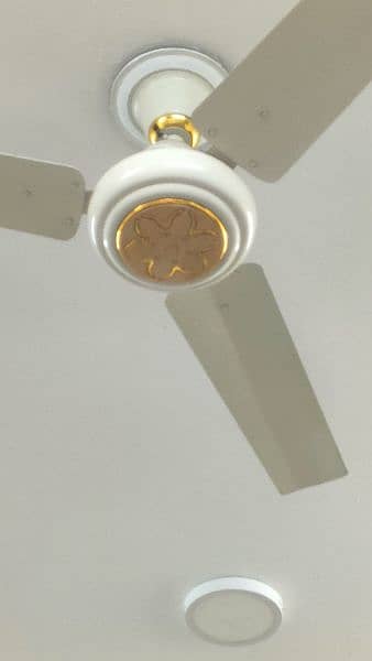 Ceiling Fan almost new 0
