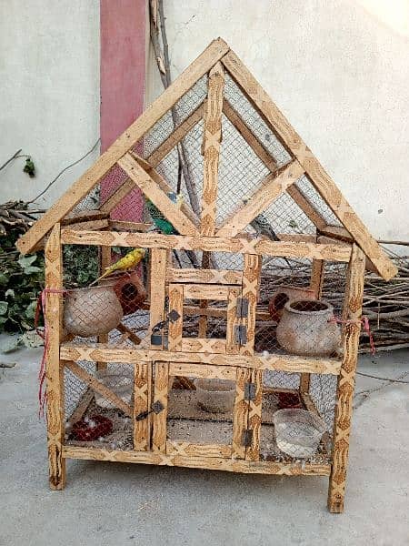 Australin parrot Bry sale and parrot House 0