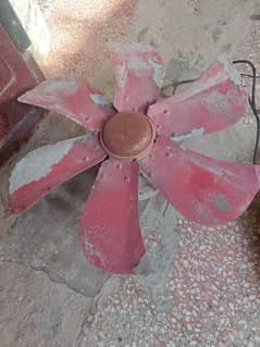 lahori cooler fan medium size.