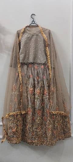 3 Piece lehnga choli with dupatta.