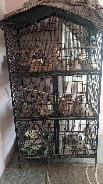 perrot cage 3
