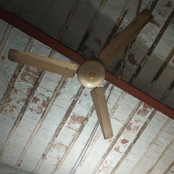 Ceiling Fan in new Cons 1