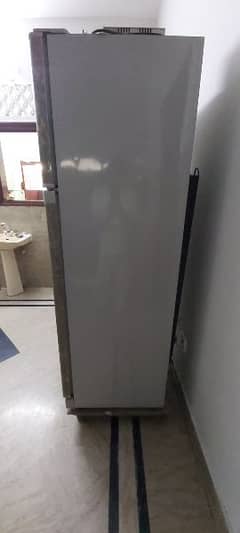 Dawlance fridge large size