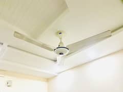 Ceiling Fan in affordable price
