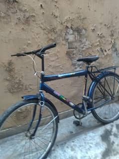 Sohrab Cycle (without gears)