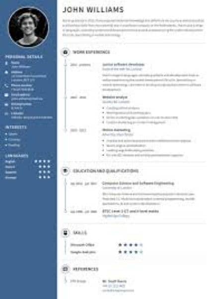 make a professional CV only in 100Rs 0