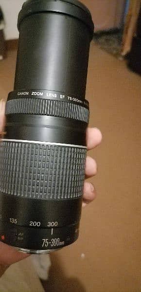 canon lens 75-300mm 1