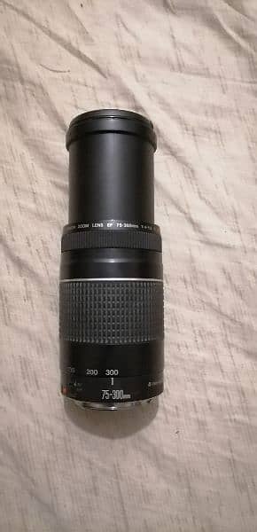 canon lens 75-300mm 4