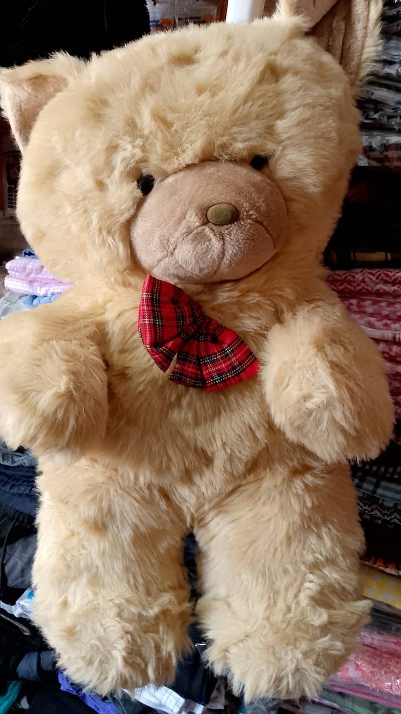 Teddy Bear big 1