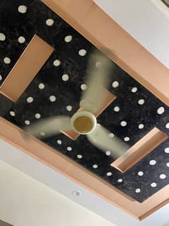 Ceiling Fan Rado