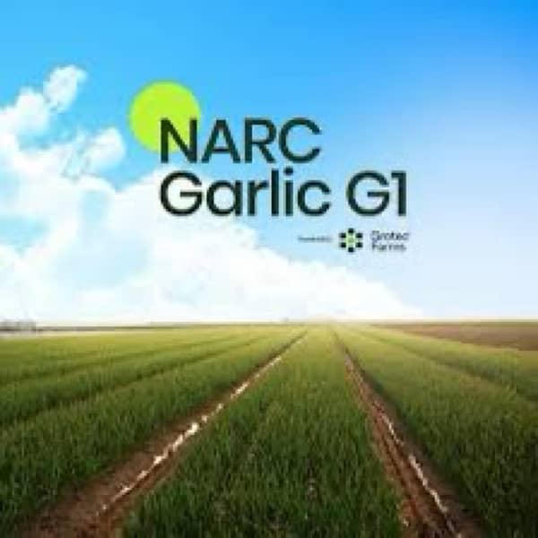 NARC G1 No 1 Quality Guarantee LAHORE Burki 2