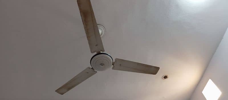 4 ceiling fans for sale 3