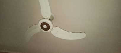 1 ceiling fan