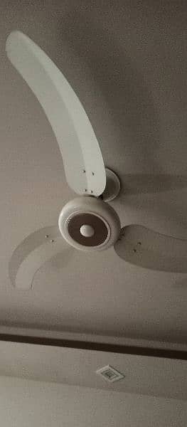 1 ceiling fan 1