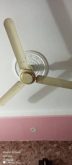 2 ceiling fans