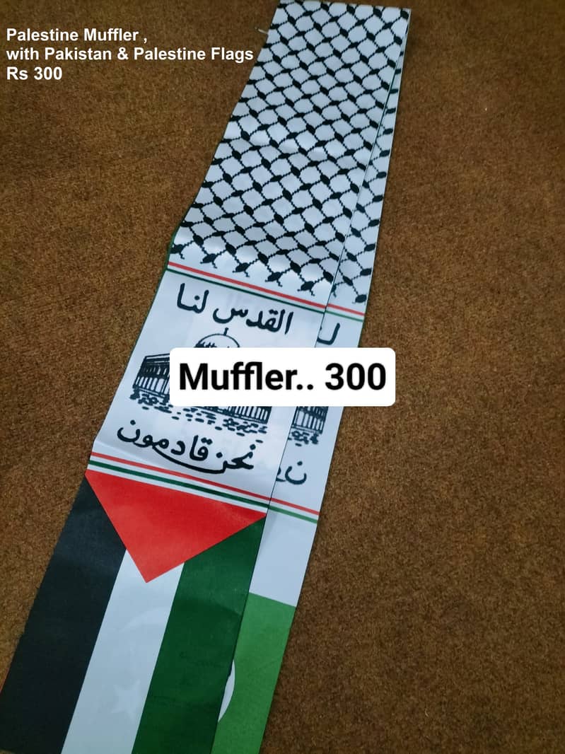 Indoor Flag & Pole for Office Decoration, Palestine Flag, From Lahore 17