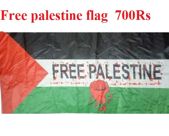 Indoor Flag & Pole for Office Decoration, Palestine Flag, From Lahore 12