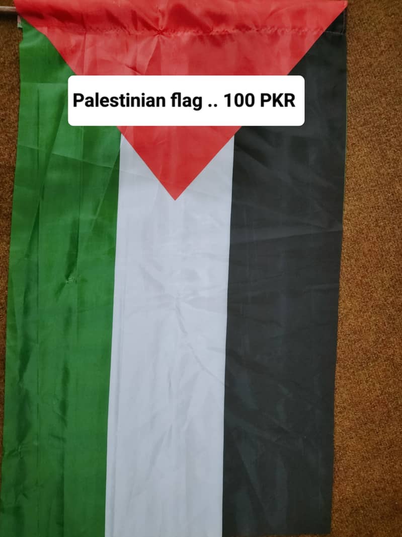 Indoor Flag & Pole for Office Decoration, Palestine Flag, From Lahore 11