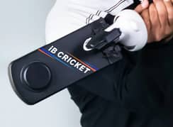 Ib Cricket Bat Quest 2