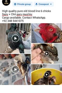 Cargo available. Contact WhatsApp. 
+92 348 5441075