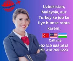 Job Assistance for Uzbekistan, Malaysia, and Turkey 03196881618