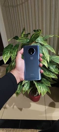 one plus 7t 8/128 10/10 PTA approved