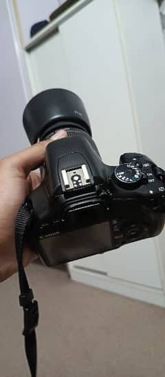 DSLR Canon Rebel XSi (450D)