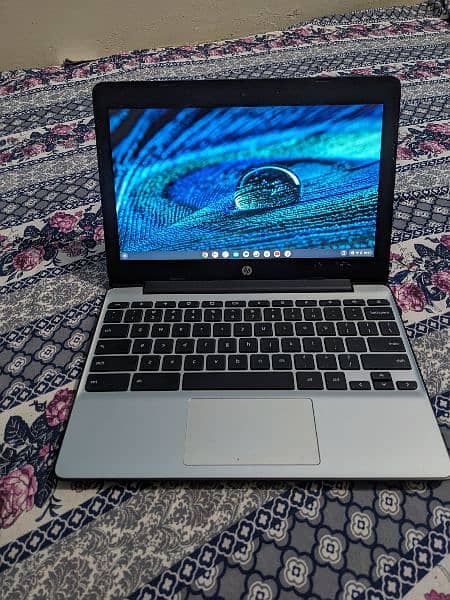 HP Chromebook 5