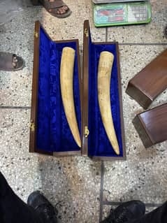 Plain Ivory pair antique