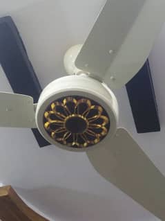 fancy cieling fans pure copper wind only 1 month used. 1 year warranty