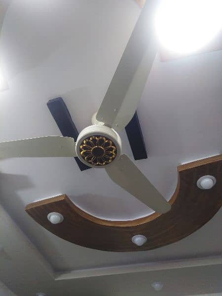 fancy cieling fans pure copper wind only 1 month used. 1 year warranty 3