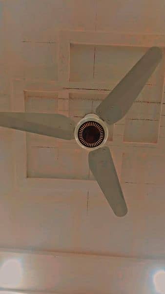 Ceiling Fan Sparkle Model 0