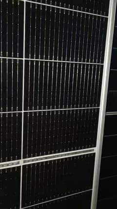 Longi Himo-7 N-Type bificial solar panel