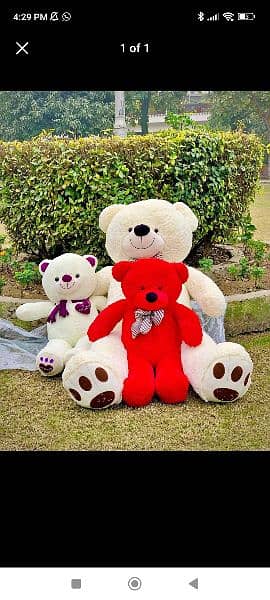 Giant Teddy bear 0